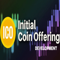 Initial Coin Offering Development Fundraising Techniques