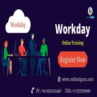Workday online training in india  workday training